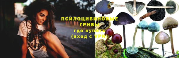 соль курить ск Богородск